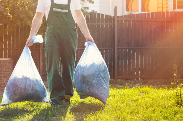 Best Carpet Removal and Disposal  in Adelphi, MD
